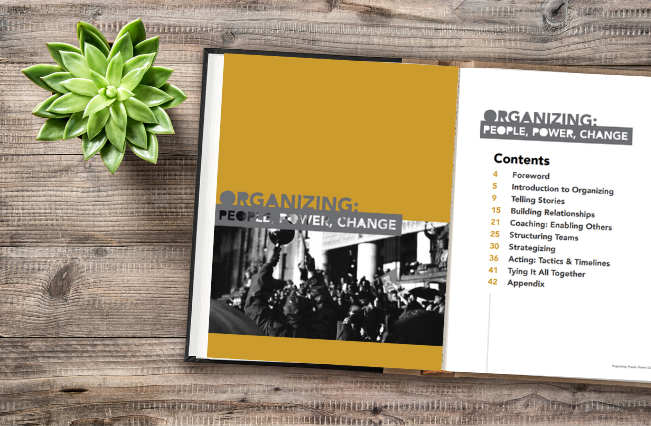 Organizing: People, Power and Change (Guide) (Multiple languages)