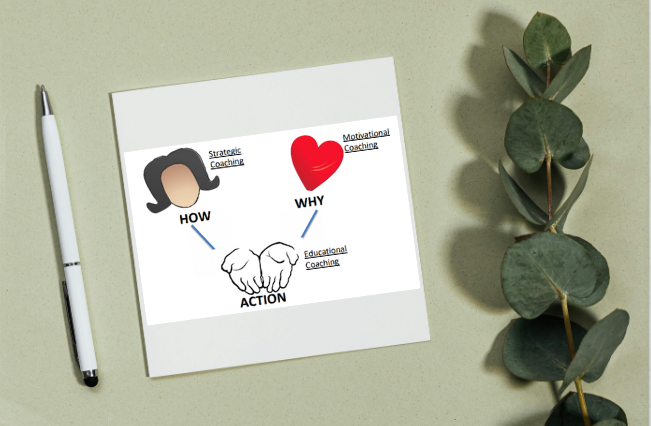 Building Power: Developing Leadership, Organizing People, and Mobilizing Collective Action To Win Campaigns: Digital Manual