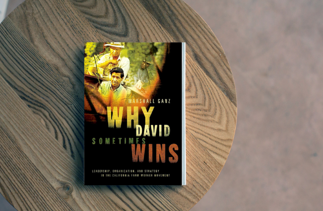 Why David Sometimes Wins: Leadership, Organization, and Strategy in the California Farm Worker Movement (Book)
