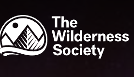 AmnestyInternational