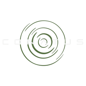 conatus-organisation