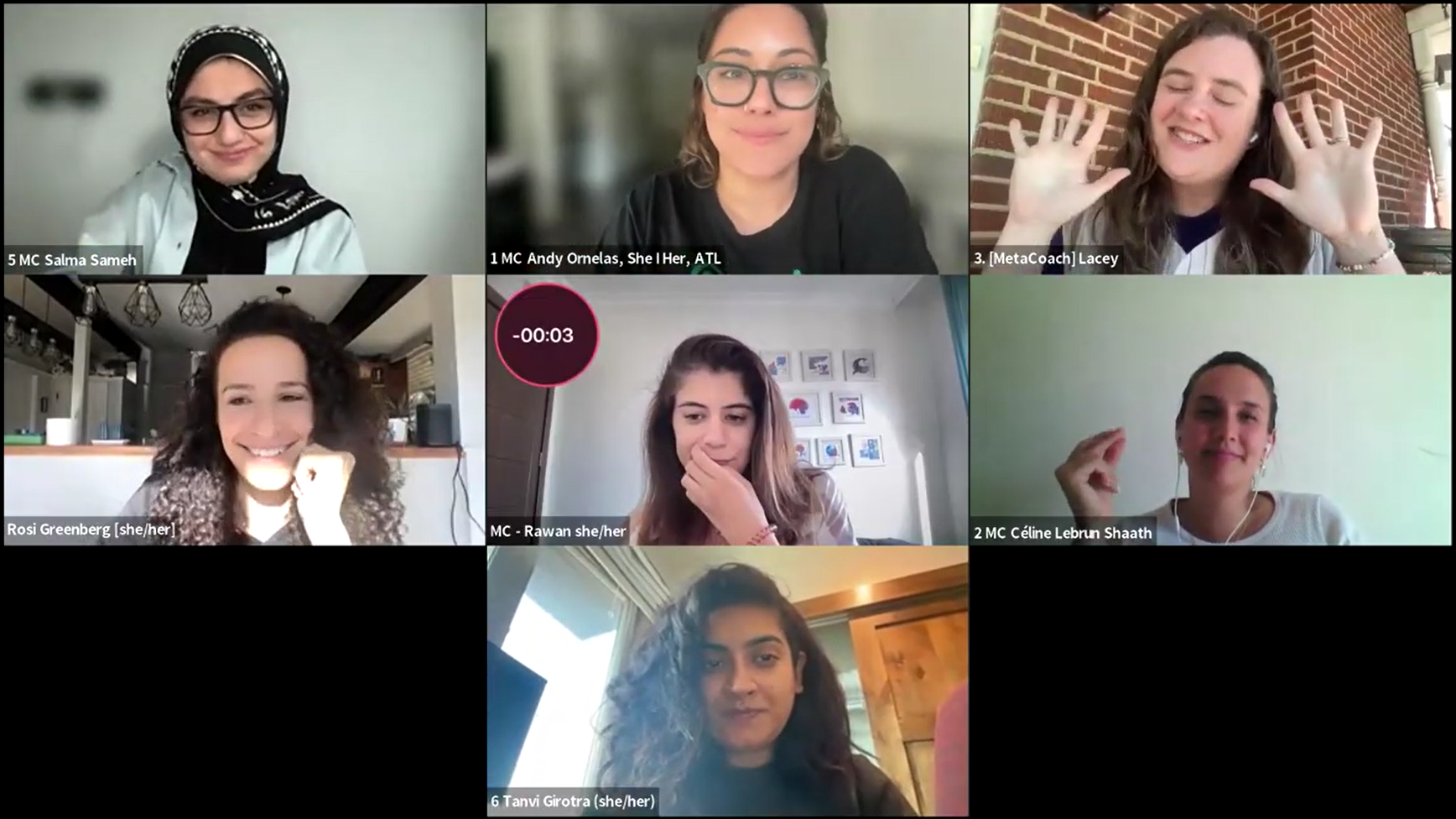 Coaching models from Public Narrative Coach Training Program 2024