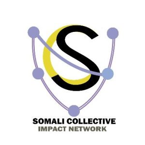 somali collective impact